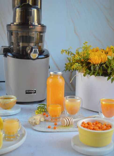 extracteur de jus revo830 silver extracteur de jus revo830 silver